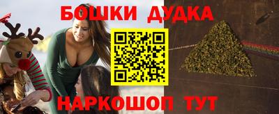 гашик Дубна